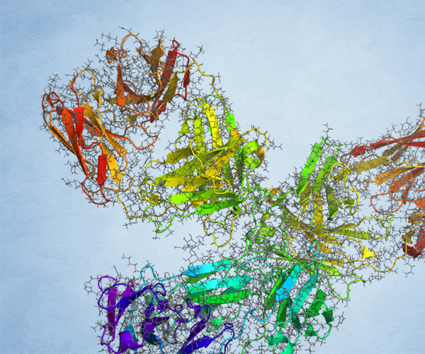 Antibody modeling with the Schrödinger Platform