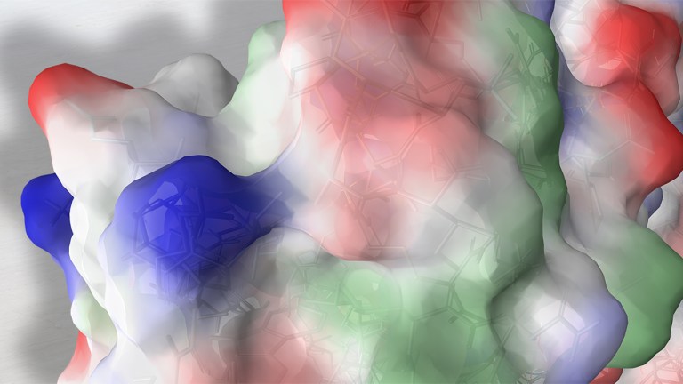 Aggregation prediction with protein surface analyzer