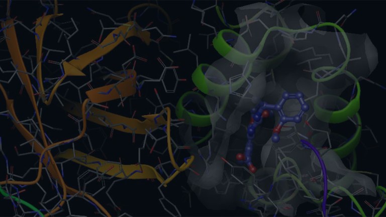 An expedited gene-to-drug approach using thermo scientific cryo-em and the Schrödinger platform