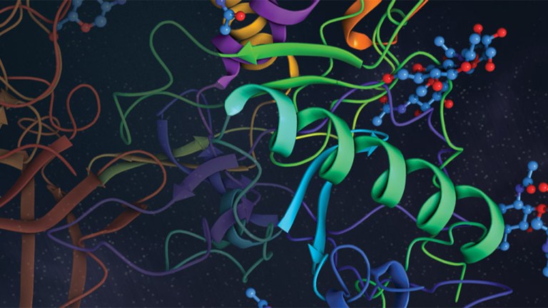 Introducing a new in silico workflow for efficient and automated macrocycle design