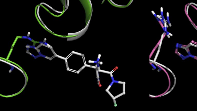 The new solution to the induced fit docking problem: How IFD-MD rapidly and reliably predicts accurate ligand binding