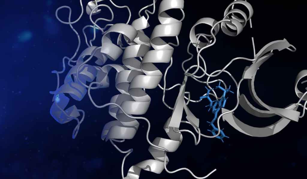 Introduction to Molecular Modeling for Drug Discovery