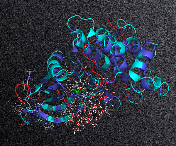 Structure-Based Drug Discovery Without a Structure: Enabling Accurate FEP+ Predictions for Challenging Targets and ADMET Anti-Targets