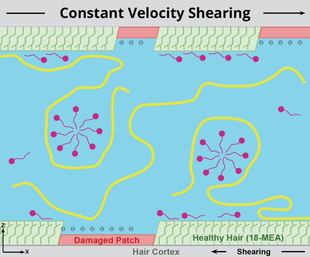 Molecular Dynamics And Coarse-Grained Simulations Facilitate The Design Of New Eco-Friendly Cosmetic Formulations_figure0