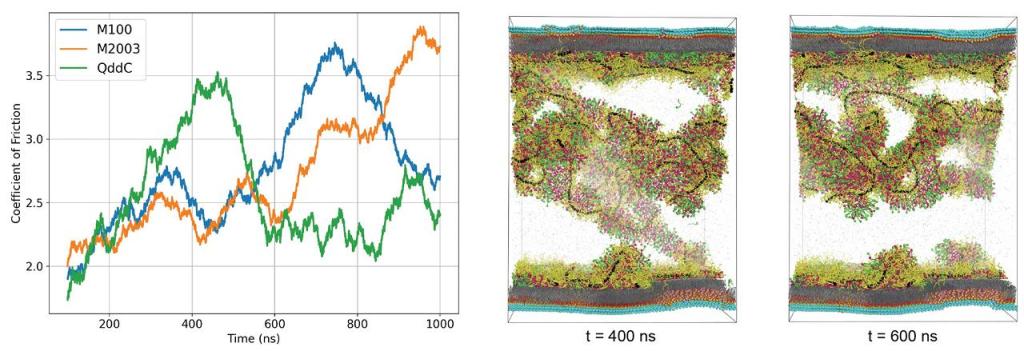 Figure 2._molecular dynamics and coarse grained sim