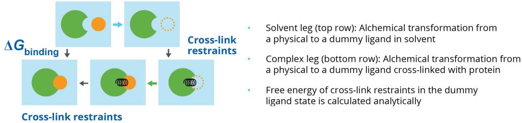 Figure 3: Thermodynamic cycle for Absolute Binding FEP+ (ABFEP+). As part of the modern virtual screening workflow on discovery programs, the accuracy provided by the rigorous calculations in ABFEP+ consistently showed very early enrichment in top actives and reduced false positives, which is critical when screening ultra-large libraries.* Compounds with molecular masses between 100 and 250 Da