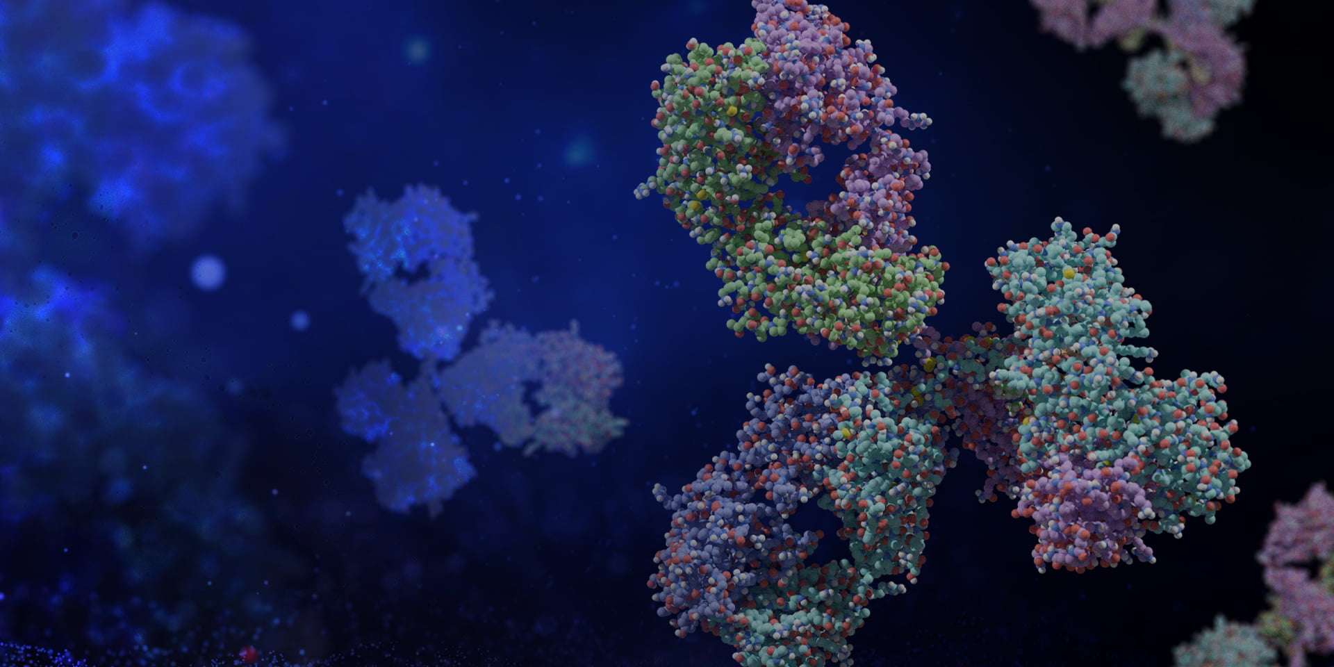 Introduction to Computational Antibody Engineering Course