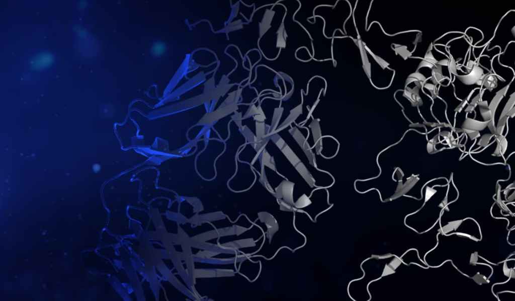 Antibody Modeling Online Course