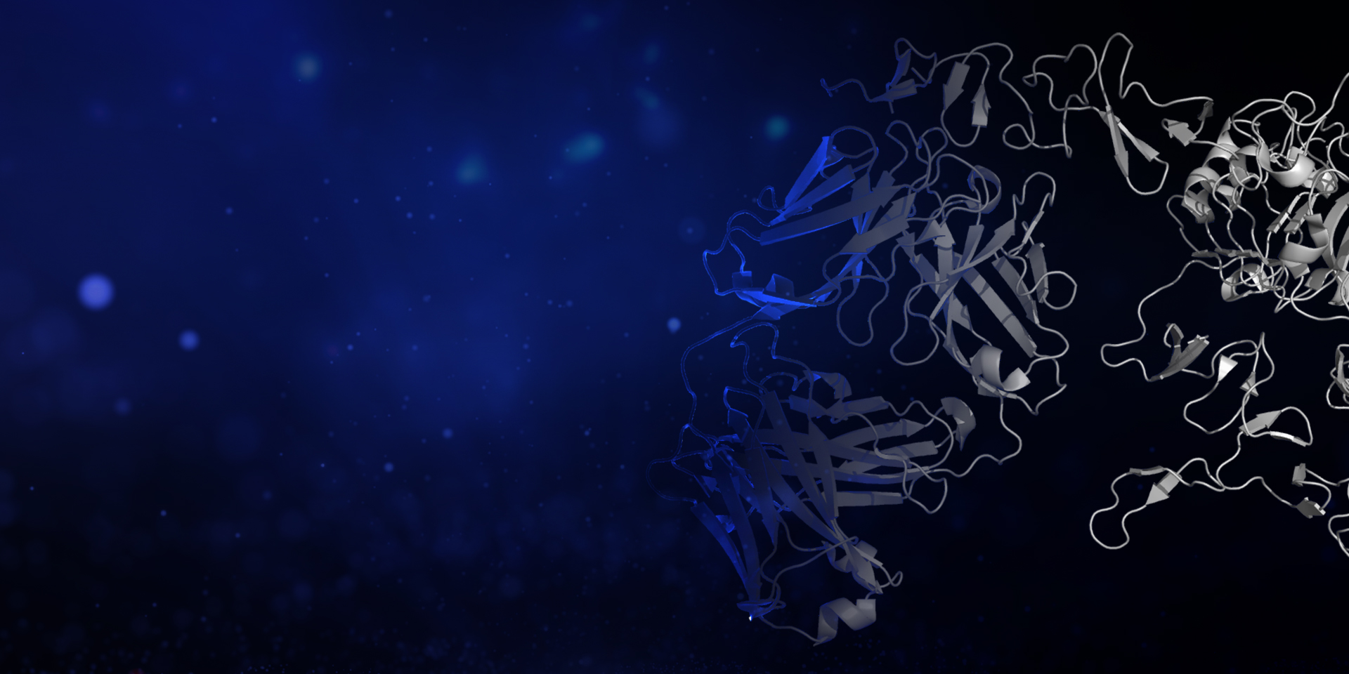 Introduction to computational antibody engineering