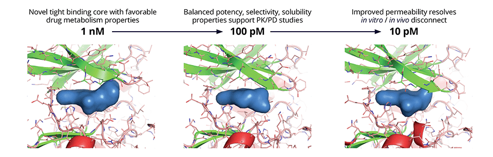 CDC7_n-target potency.