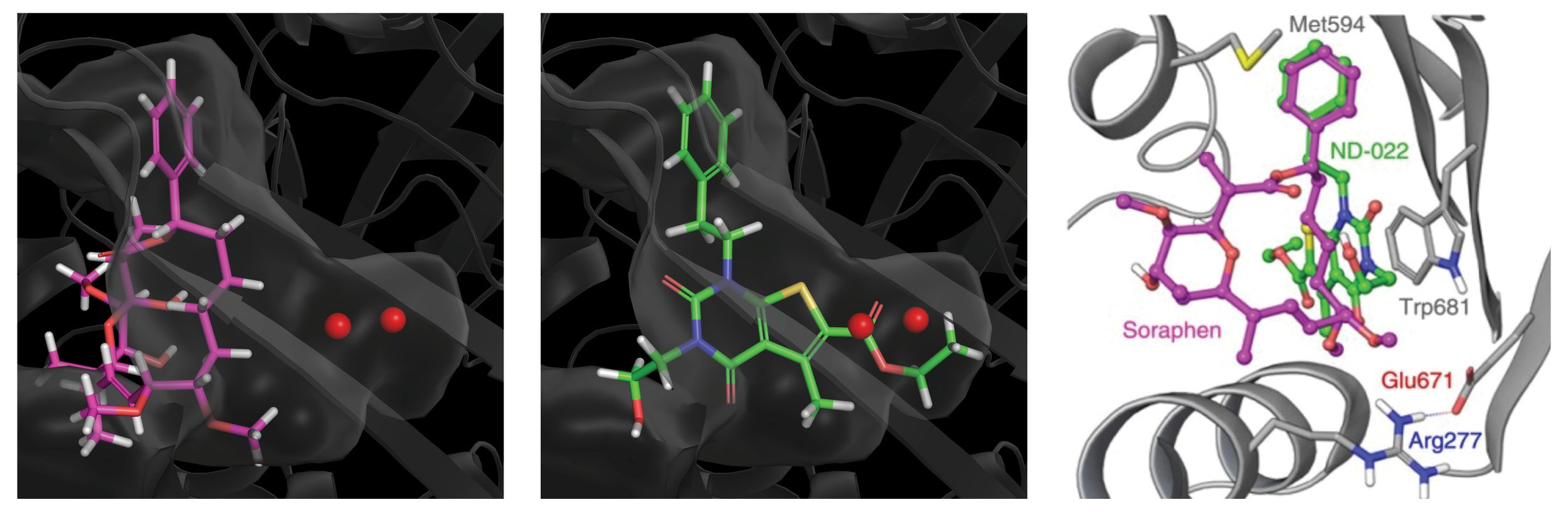Discovery of a novel, potent ACC inhibitor driven by computationally ...