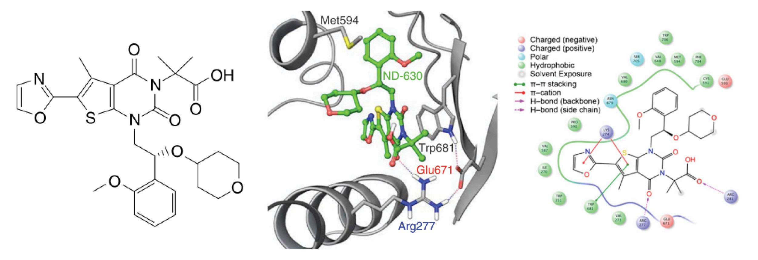 Discovery of a novel, potent ACC inhibitor driven by computationally ...