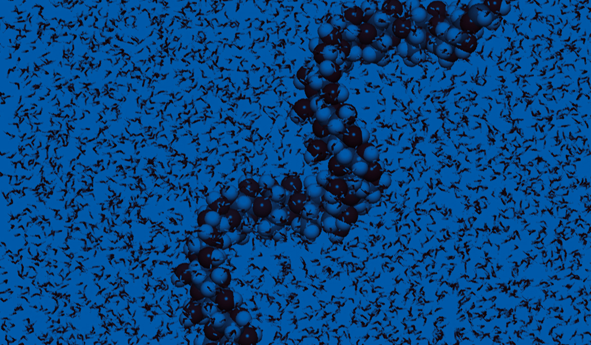 Prediction of moisture adsorption and effects on amorphous amylose starch