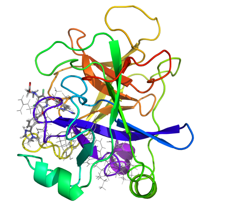 Expand the impact of structural biology on drug design
