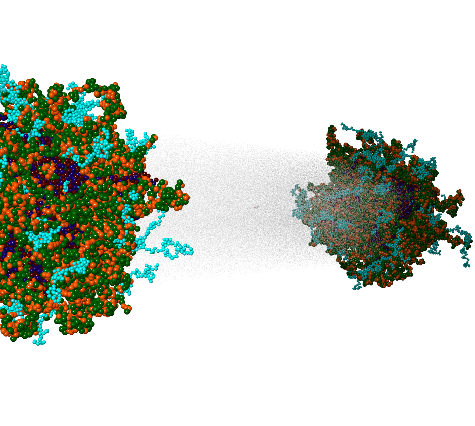 MS CG (Materials Science Coarse-Grained Modeling)