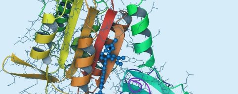 Discovery of a novel, potent ACC inhibitor using WaterMap