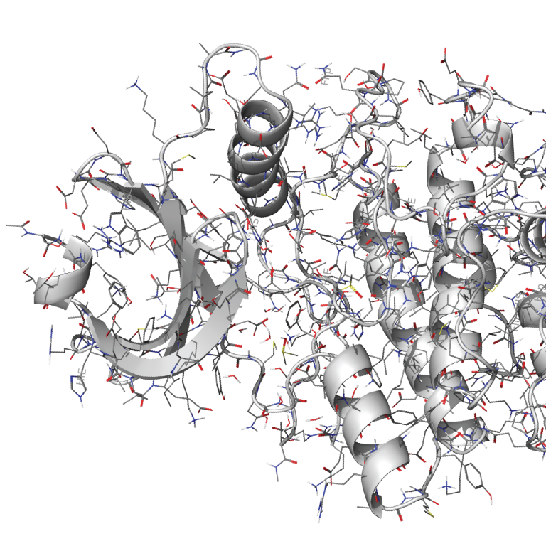 Into the Clinic: Developing potent and selective kinase inhibitors using at-scale FEP and protein FEP: a Wee1 case study