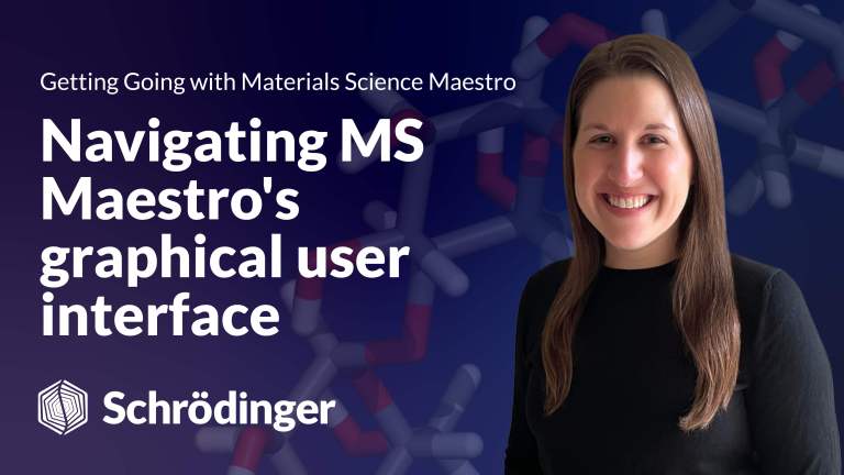 Navigating MS Maestro’s Graphical User Interface