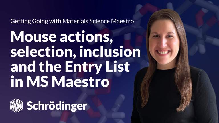 Mouse Actions, Selection, Inclusion and the Entry List in MS Maestro