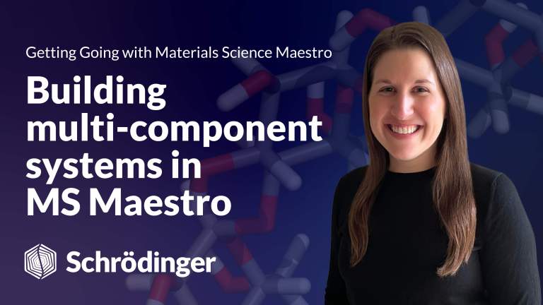 Building Multi-Component Systems in MS Maestro