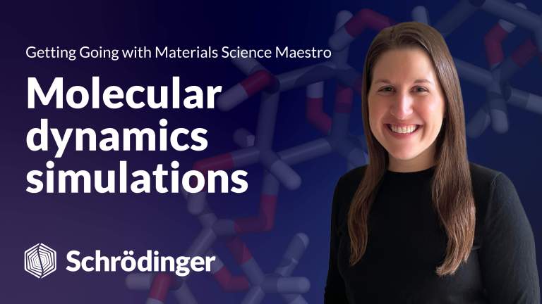 Molecular Dynamics Simulations