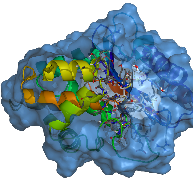 Enzyme Engineering | Schrödinger