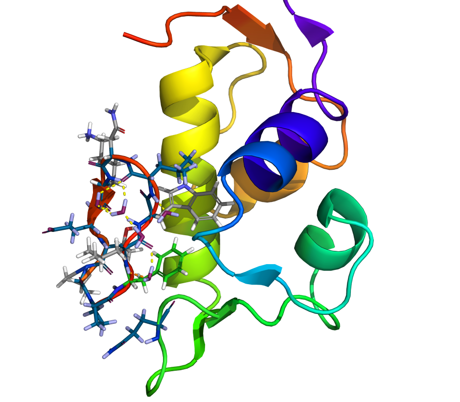 peptide-discovery-hero-ls.png