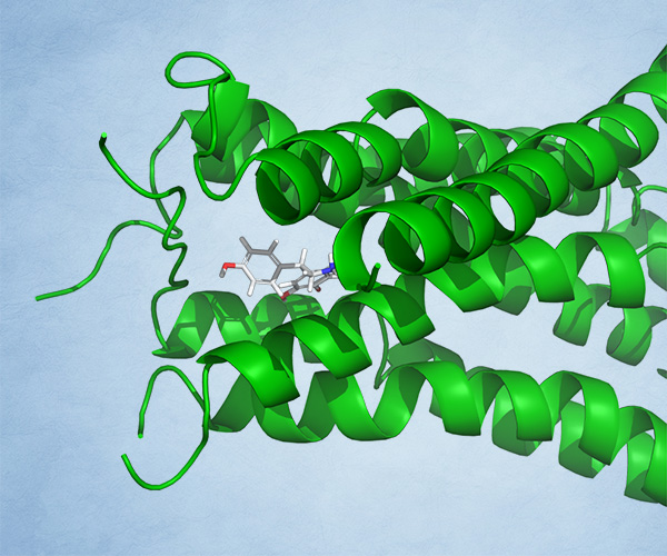 In silico enabled discovery of KAI-11101, a potent, selective, and brain-penetrant DLK inhibitor for the treatment of neurodegenerative diseases