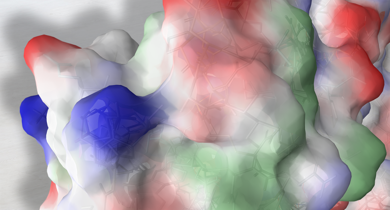 Aggregation prediction with protein surface analyzer