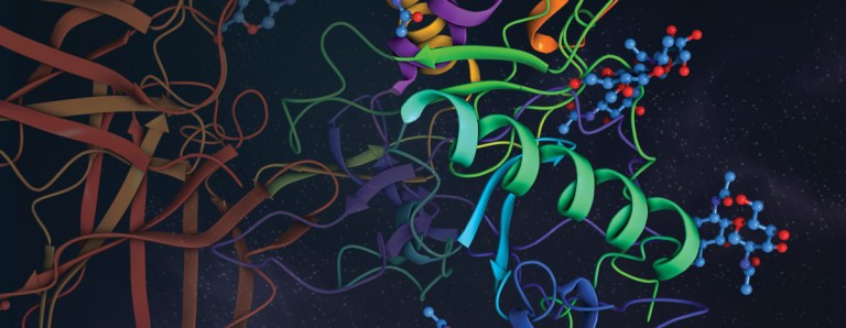 Introducing a new in silico workflow for efficient and automated macrocycle design