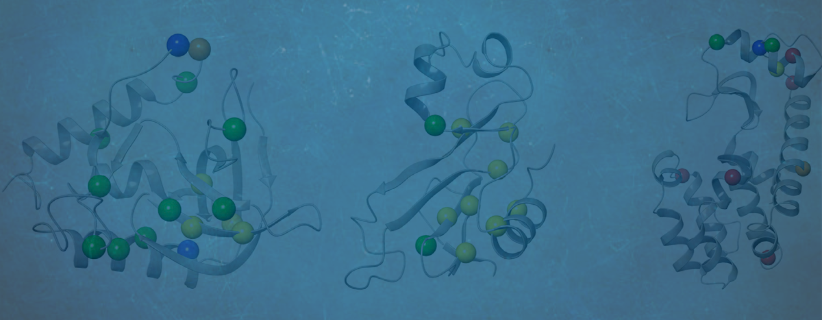 Improving the accuracy of protein thermostability predictions