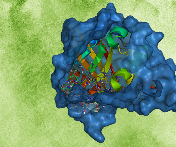 Aggregation scoring and liability prediction using Schrödinger’s Biologics Suite