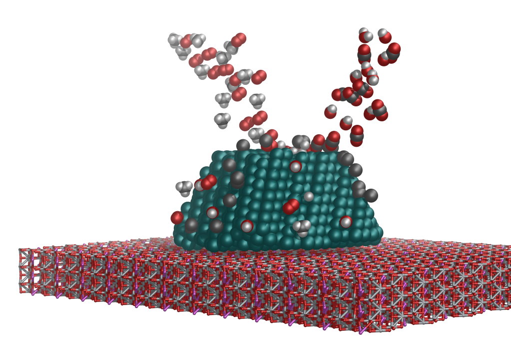 MS Microkinetics