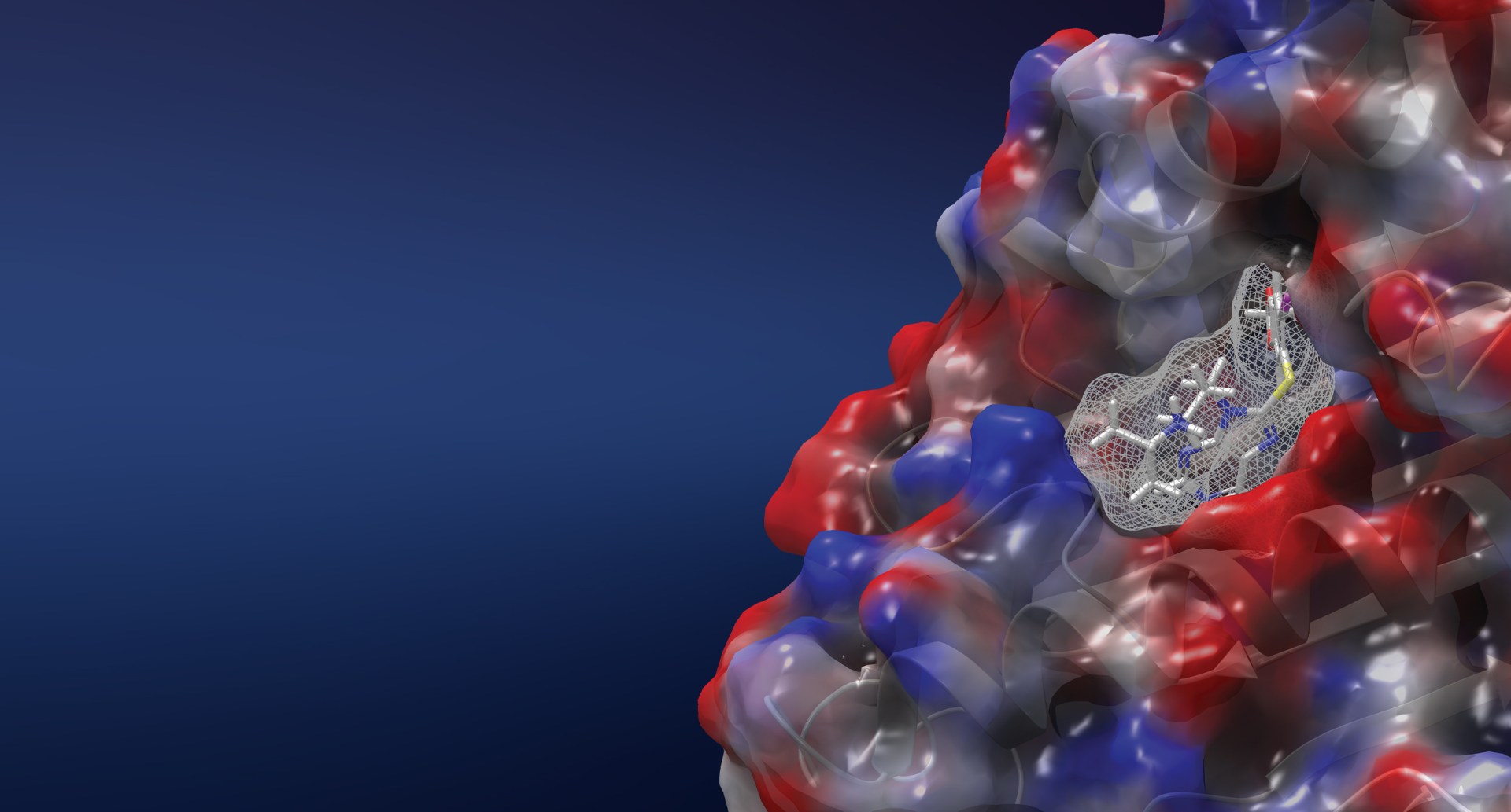 Target Enablement Services