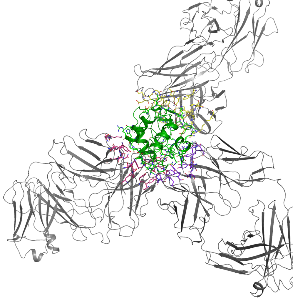 FEP+ for Biologics