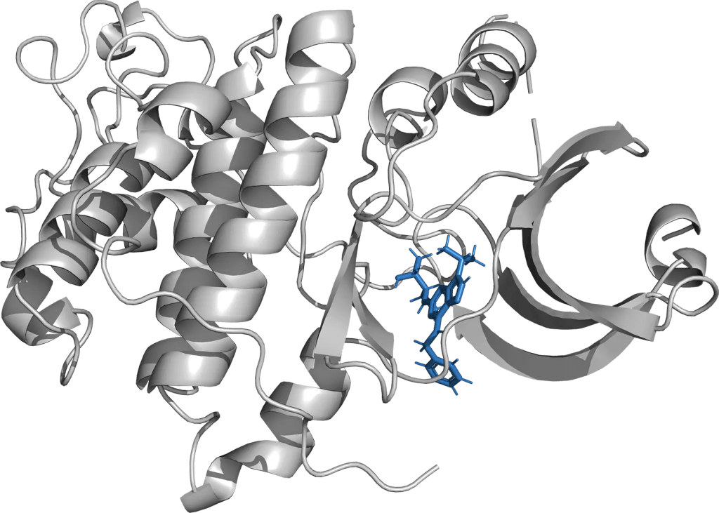 Get a sneak peak at our online certification courses in molecular modeling