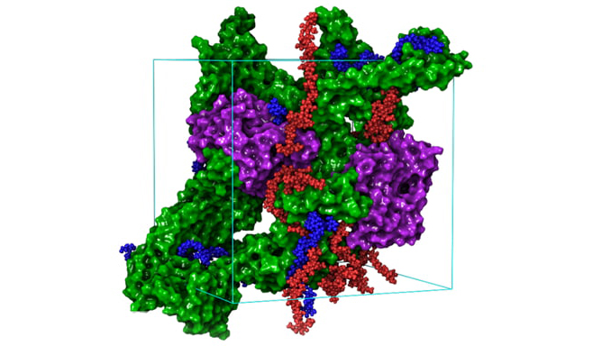 Advancing sustainable food processing through integrated experimental and molecular simulation approaches