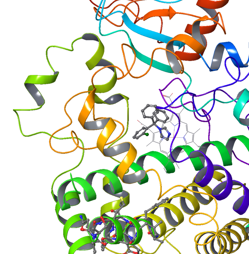 Predictive Toxicology