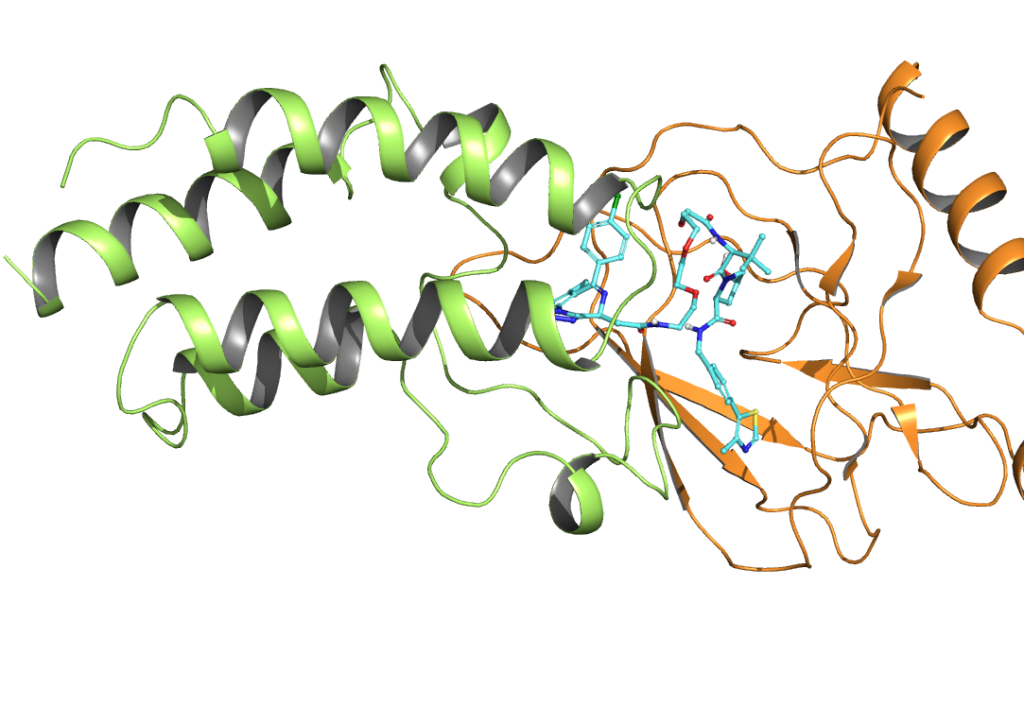 Bifunctional Degrader Solutions