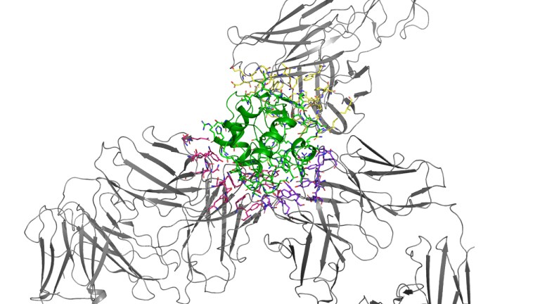 Designing better biologics: A blueprint for leveraging in silico methods in biologics R&D EU