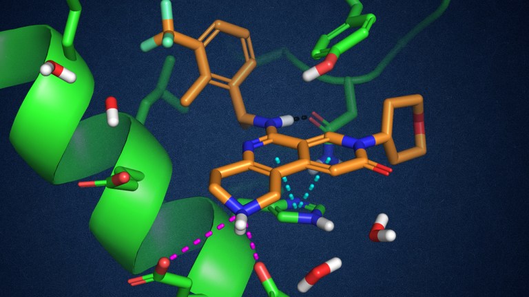 Rethinking the rules: Exploiting solvent exposed salt-bridge interactions with free energy perturbation simulations for the discovery of potent inhibitors of SOS1