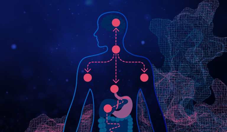 ADME Course image, human body