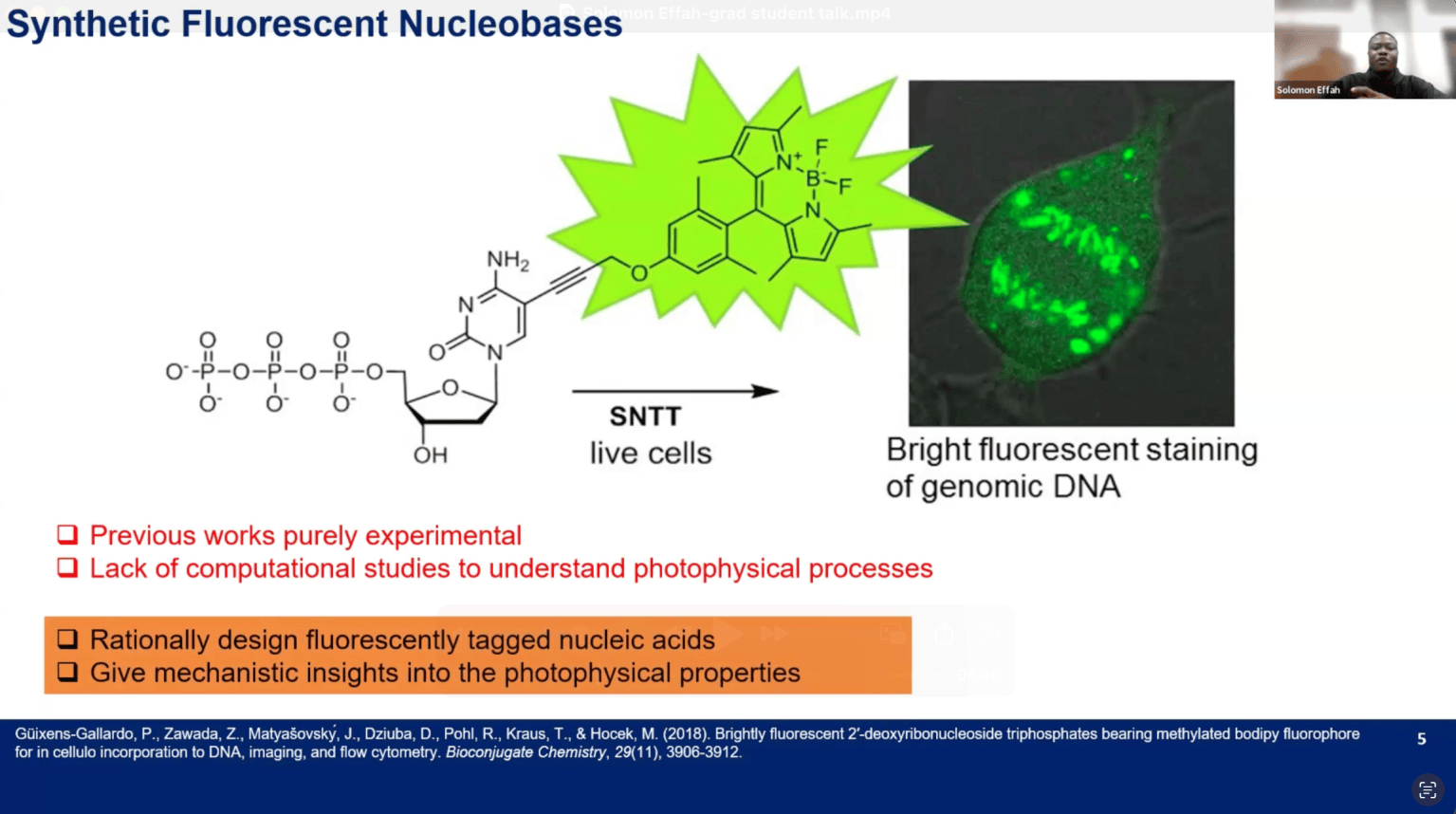 Virtual Science Fair: Controlling Fluorescence in DNA Probes ...