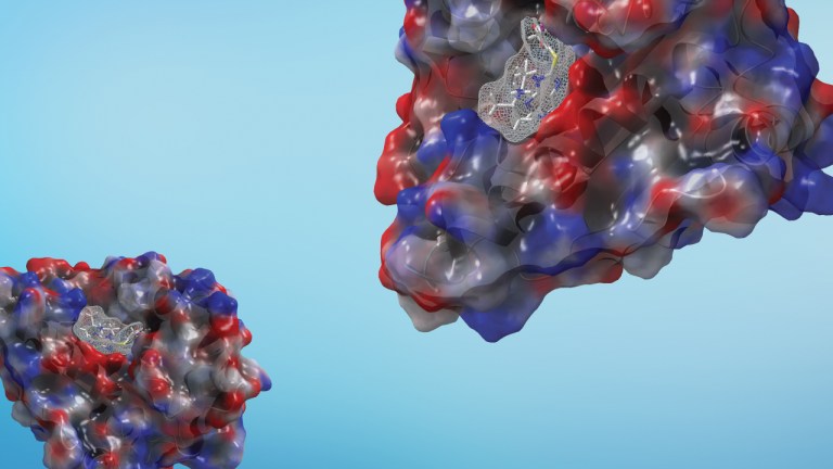 Modeling Services: A high-velocity entry point to the Schrödinger platform