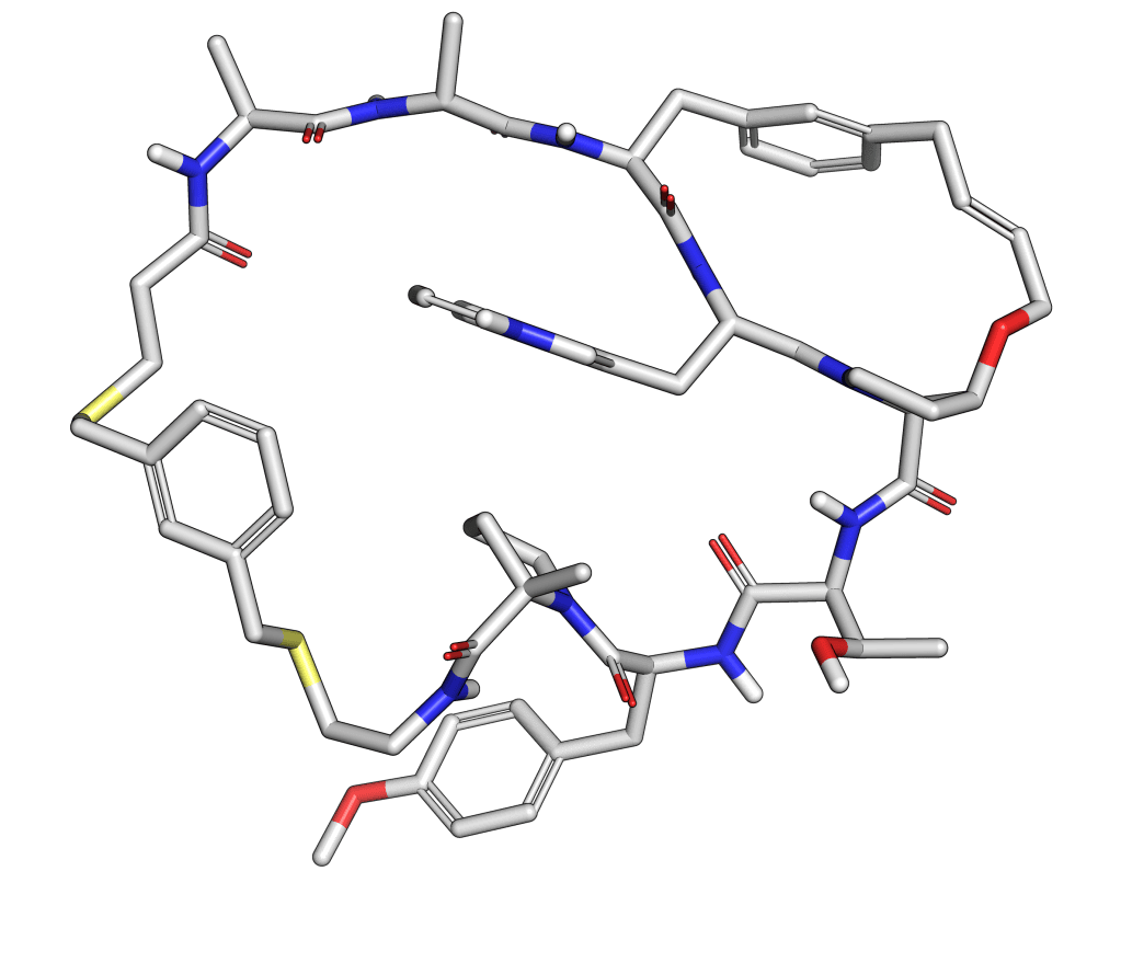Macrocycle Modeling